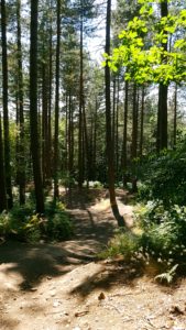 wharncliffe nature reserve